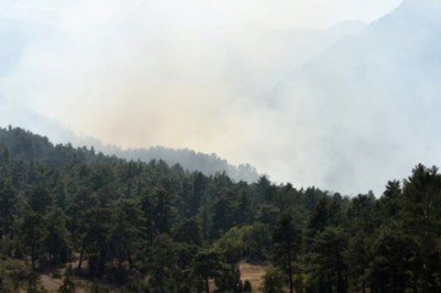 Antalya'da orman yangını