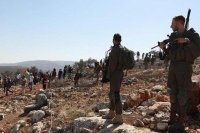 Batı Şeria'da bir gerginlik daha!  Zeytin toplayan Filistinlilere saldırdılar