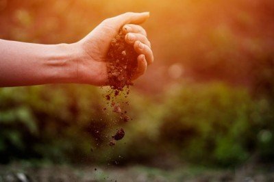 Gezegenimizin yaşayan ve yaşatan derisi tehdit altında