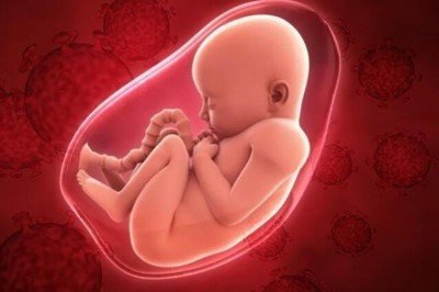 Hamile kadınlarda koronavirüs bebeğin cinsiyetine göre hareket ediyor