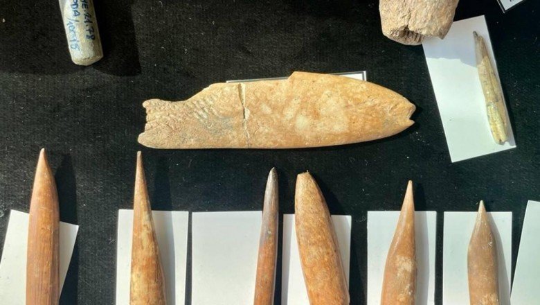 İzmir'deki kazılarda aslan ve panter kemikleri bulundu