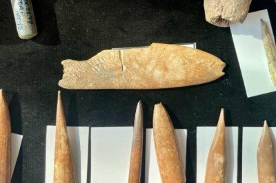 İzmir'deki kazılarda aslan ve panter kemikleri bulundu