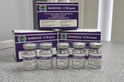 Kazakistandan kediler için COVID19 aşısı