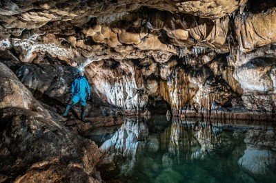 Mağaralarda hayvan türleri araştırılıyor: Önemli bulgulara rastlandı