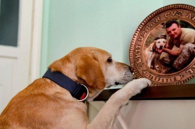 Şehit ailesi, oğullarının emaneti Atmaca ile teselli buluyor