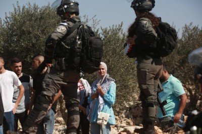 Sivil Yahudi işgalciler zeytin toplayan Filistinlilere saldırdı