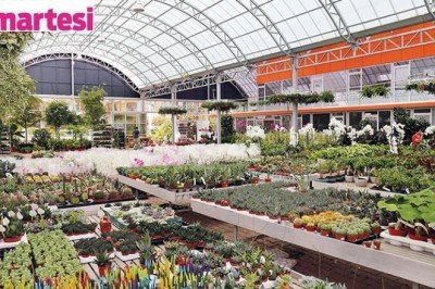 Sonbaharda yemyeşil evler