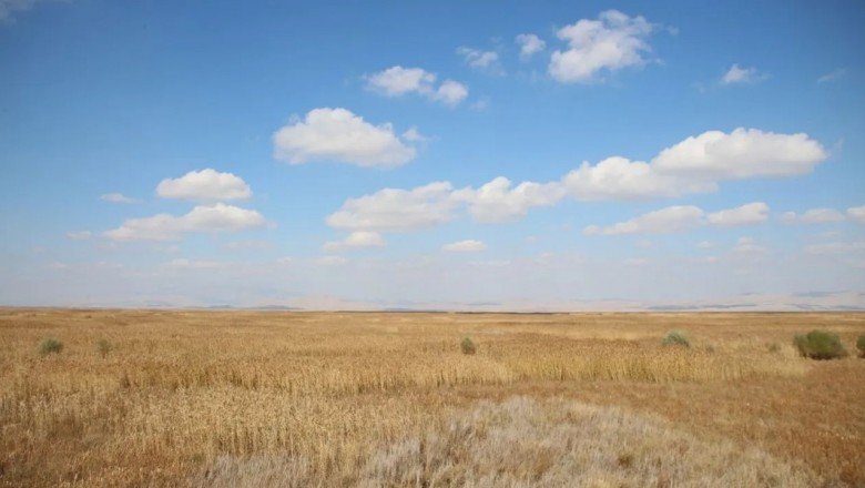 Tamamen kuruyan Akşehir Gölü&amp;#039;nde umut veren gelişme