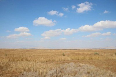 Tamamen kuruyan Akşehir Gölü'nde umut veren gelişme