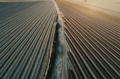 Tarıma 2022 yılı için ayrılan bütçe 64,7 milyar liraya yükseltildi