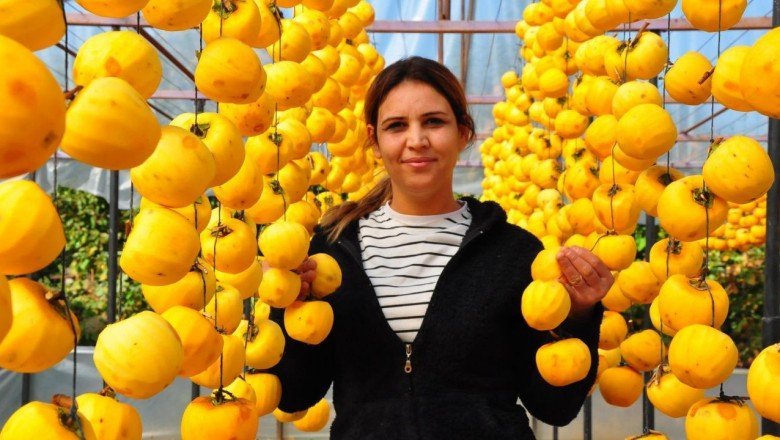 Tazesini satamayınca kurutmaya başladı! Yılda 3 milyon TL kazanıyor