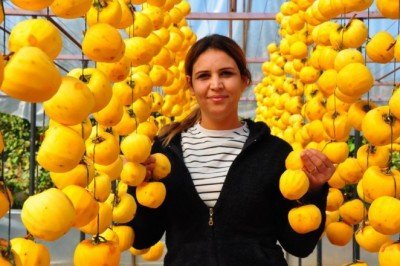 Tazesini satamayınca kurutmaya başladı! Yılda 3 milyon TL kazanıyor