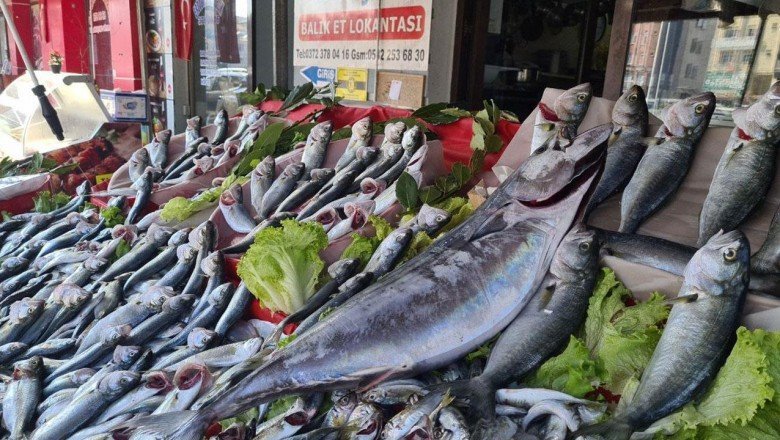 Torik balığının tanesi 350 liradan satılıyor