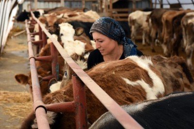 Üniversite mezunu kız kardeşler devletten destek aldı! Şimdi baba mesleğini devam ettiriyor
