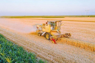 100 bin hektarlık toplulaştırma atağı