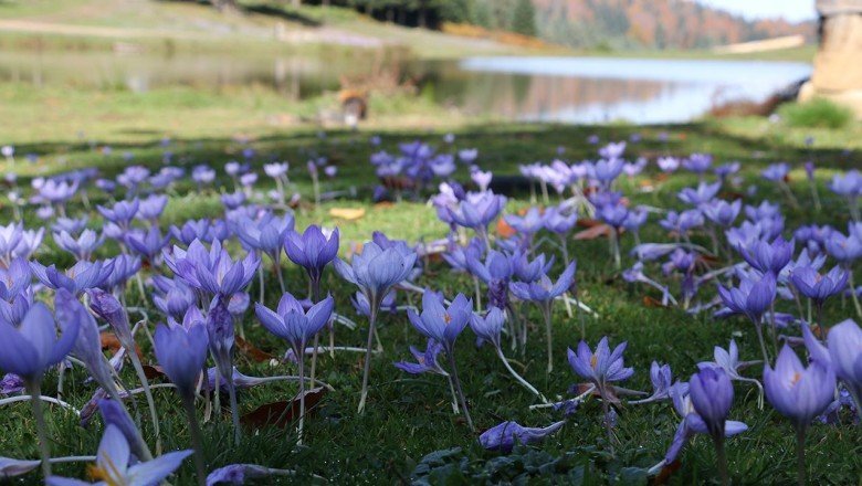 Dünyanın gözü Glasgow'da yapılacak COP26 İklim Zirvesi'nde olacak