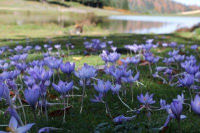 Dünyanın gözü Glasgow'da yapılacak COP26 İklim Zirvesi'nde olacak