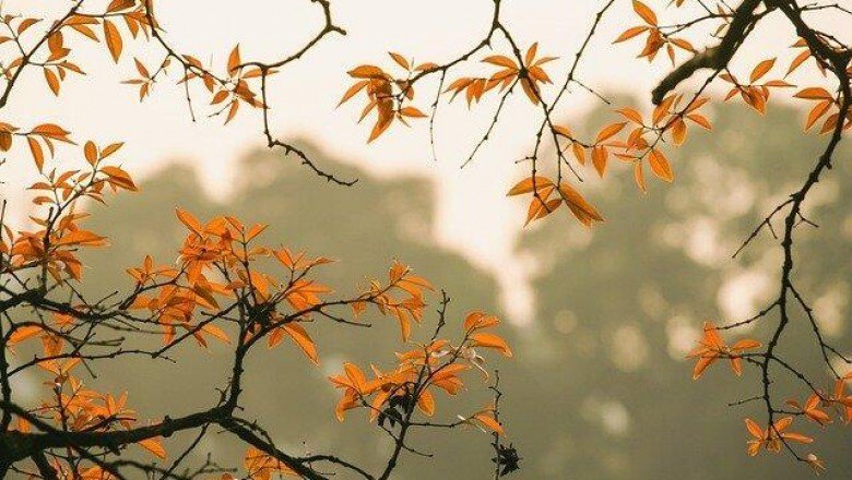 Kasım ayı önemli günler ve haftalar 2021: Kasım ayında resmi tatil var mı, hangi gün?