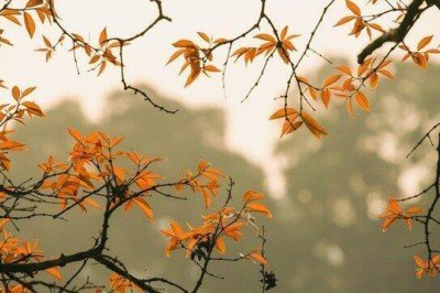 Kasım ayı önemli günler ve haftalar 2021: Kasım ayında resmi tatil var mı, hangi gün?