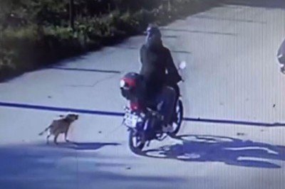 Kendisini kovalayan köpeğe sinirlendi, 2 kişiye çarptı