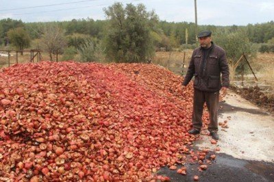 Muğlalı çiftçi isyan etti: 