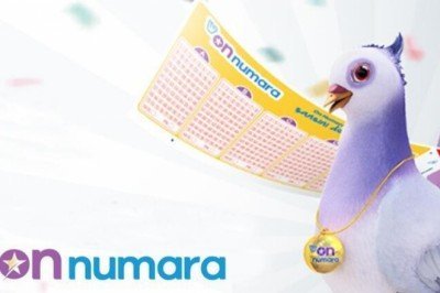 On Numara sonuçları açıklandı! On Numara sonuç ekranı millipiyangoonline'da
