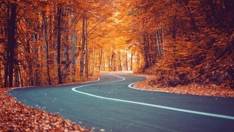 Sonbahar Eş Anlamlısı Nedir? Sonbahar Kelimesinin Eş Anlamlıları Nelerdir?