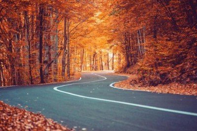 Sonbahar Eş Anlamlısı Nedir? Sonbahar Kelimesinin Eş Anlamlıları Nelerdir?