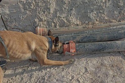 Sulama borusuna gizlenmiş 1100 uyuşturucu hap ele geçirildi