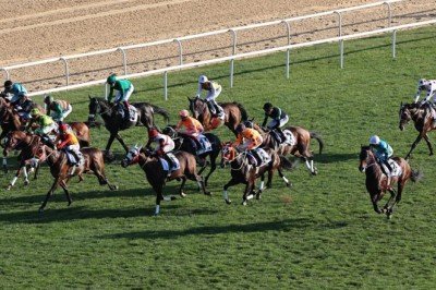 Cumhurbaşkanlığı ve Cumhuriyet Koşuları Ankara'da yapıldı