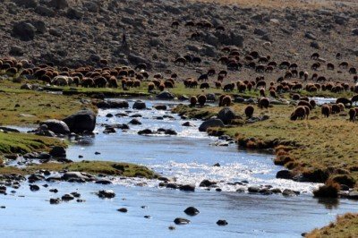 Havalar soğuyor yaylalar boşalıyor