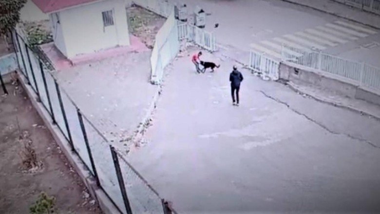 Köpeğin saldırısına uğrayan çocuğu güvenlik kurtardı