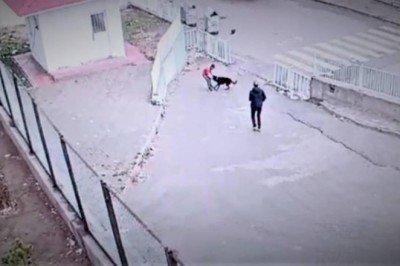 Köpeğin saldırısına uğrayan çocuğu güvenlik kurtardı