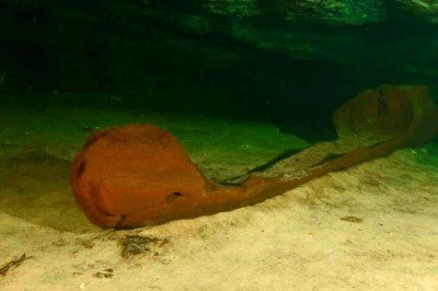 Meksikada bin yıldan eski ahşap kano bulundu