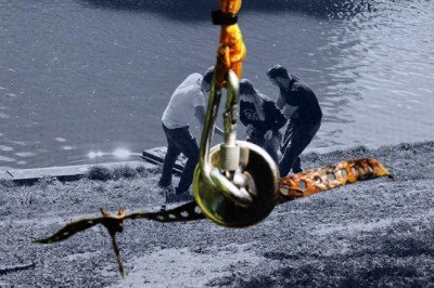 Suların altını üstüne getiren pandemi çılgınlığı: Mıknatıs balıkçılığı