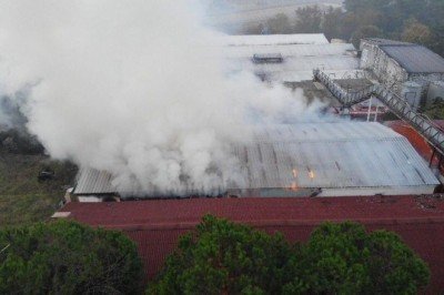 İstanbul'da atık kağıt deposunda yangın