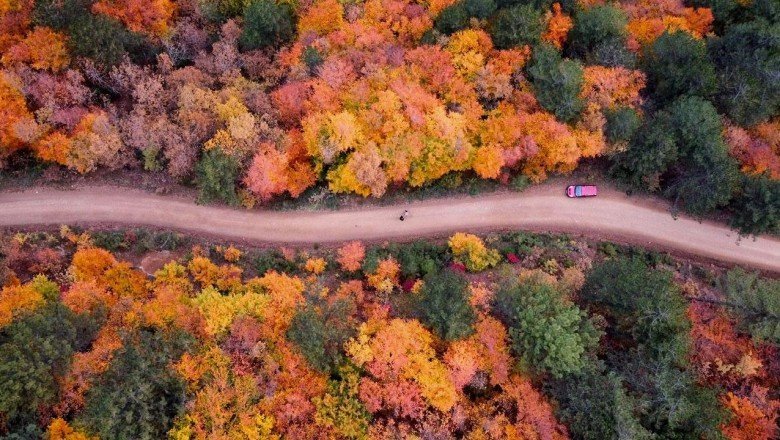 Türkiye'nin en büyük blok ormanlarında sonbahar