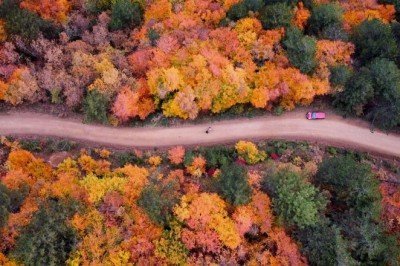 Türkiye'nin en büyük blok ormanlarında sonbahar