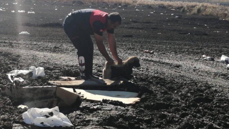 Bataklığa saplanan köpek yavrusunu itfaiye kurtardı