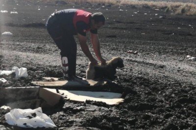 Bataklığa saplanan köpek yavrusunu itfaiye kurtardı