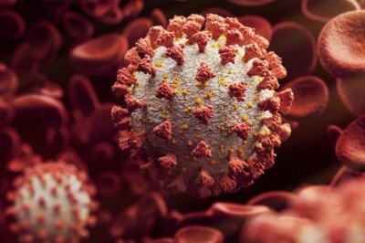 Bilim insanları yüksek riskli koronavirüs genini ortaya çıkardı