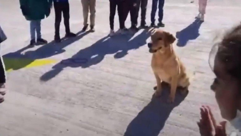 Can dostlar öğrenciler için gösteri yapıyor