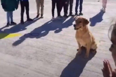 Can dostlar öğrenciler için gösteri yapıyor