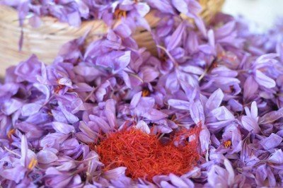 Dünyanın en değerli baharatlarından safranın kilosu 75 bin lira