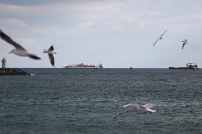 Marmara Denizi, özel çevre koruma bölgesi ilan edildi