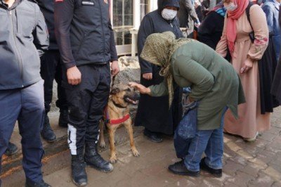 Selde köpeklerini kaybeden kadın 'Samba' ile hasret giderdi