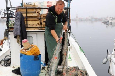 Tekirdağ'da yoğun sis: Balıkçılar denize açılamıyor