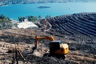 Yanan ormanlar ekonomiye geri kazandırılıyor