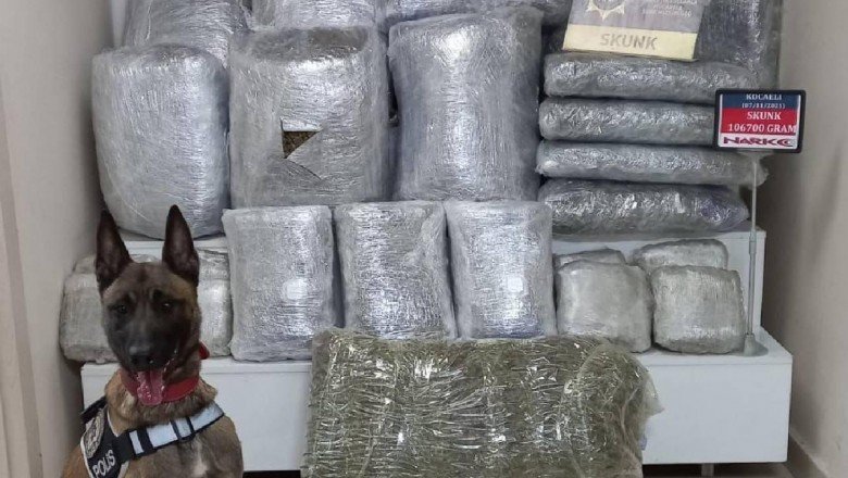 Durdurulan minibüste 106 kilogram skunk ele geçirildi