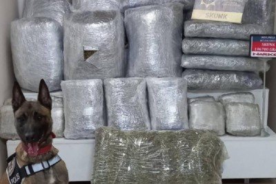 Durdurulan minibüste 106 kilogram skunk ele geçirildi